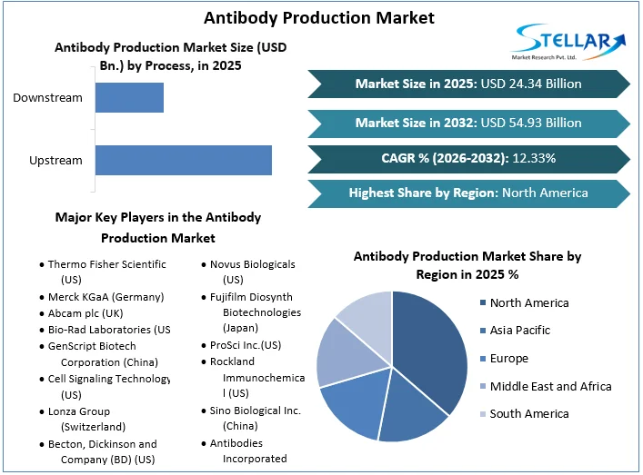 Antibody Production Market overview