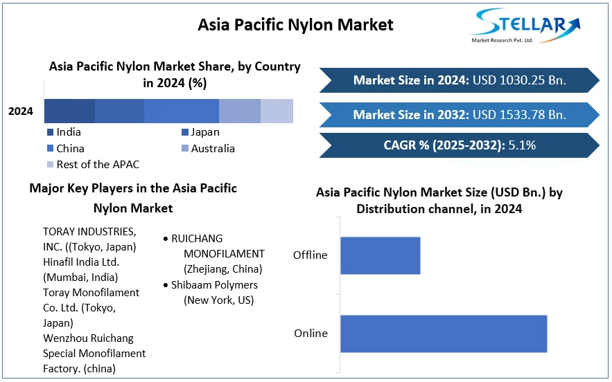 Asia Pacific Nylon Market cagr