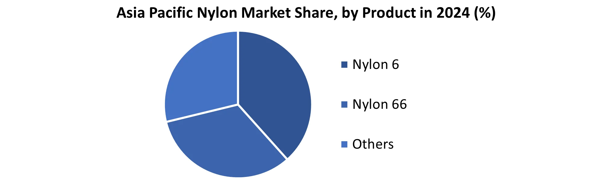 Asia Pacific Nylon Market share by Product