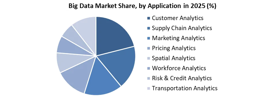 Big Data Market share by application