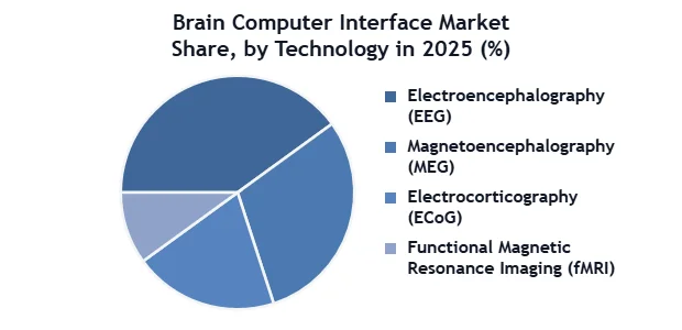 Brain Computer Interface Market SMR Flat Pie