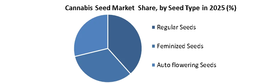 Cannabis Seed Market share by seed type