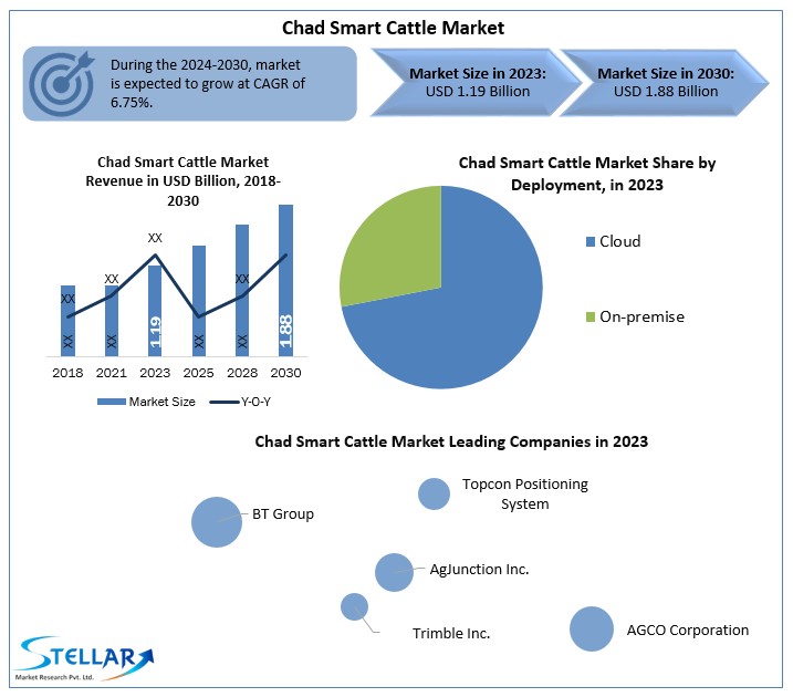 Chad Smart Cattle Market 