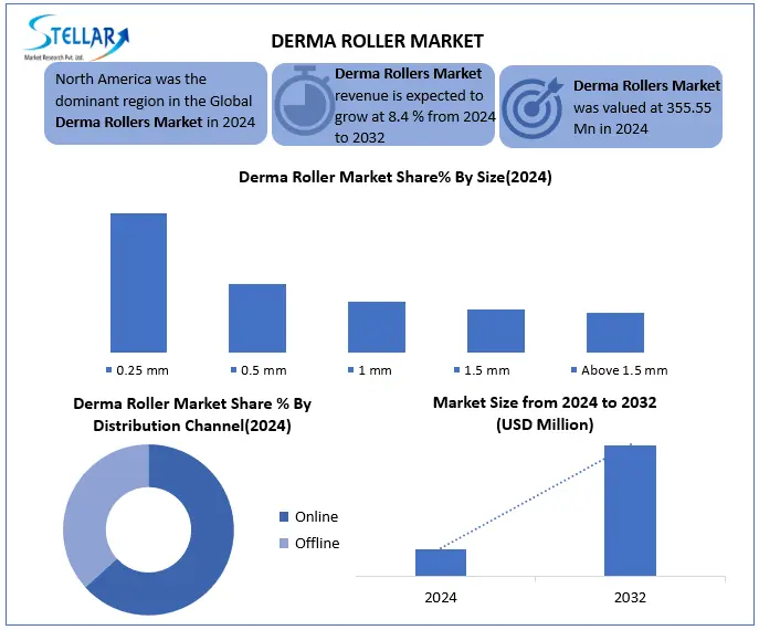 Derma Rollers Snapshot