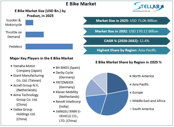 E bike market