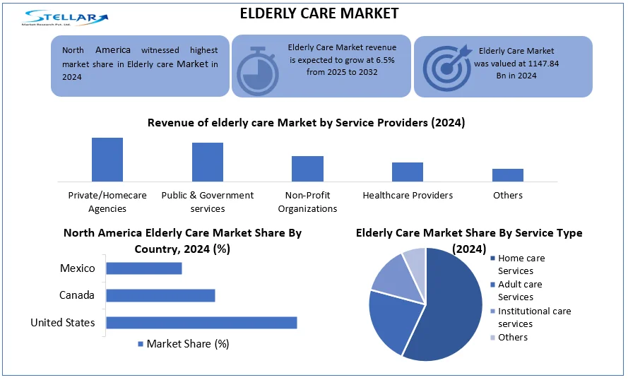 Elderly Care Market snapshot