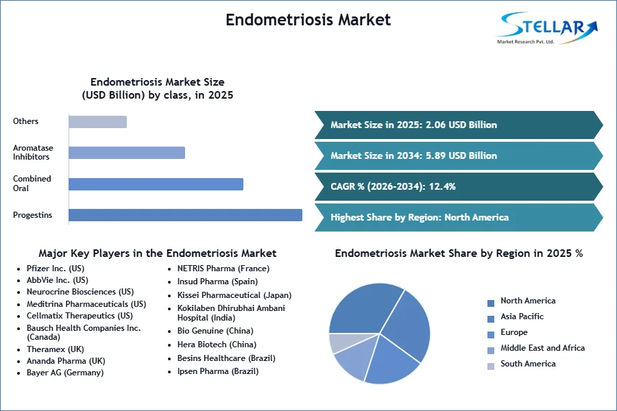 Endometriosis Market SMR Snapshot