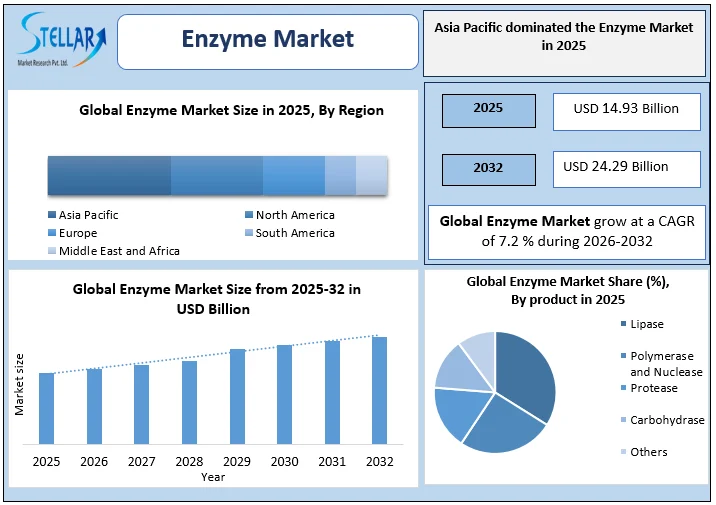 Enzyme Market overview