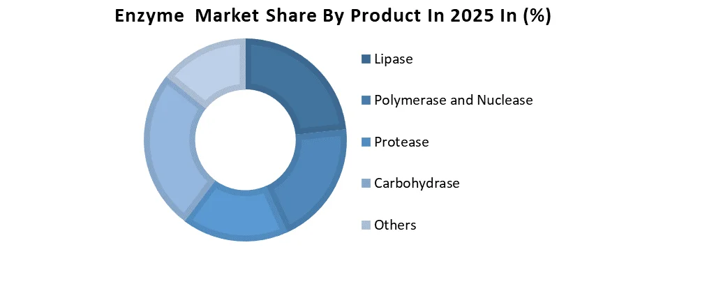 Enzyme Market share by product