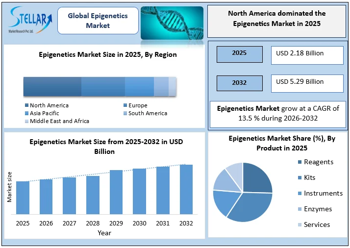 Epigenetics Market overview