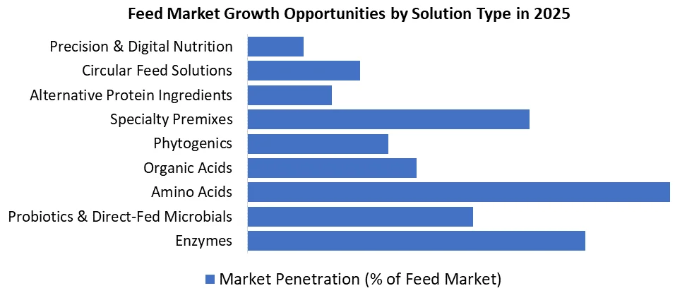 Feed Market growth