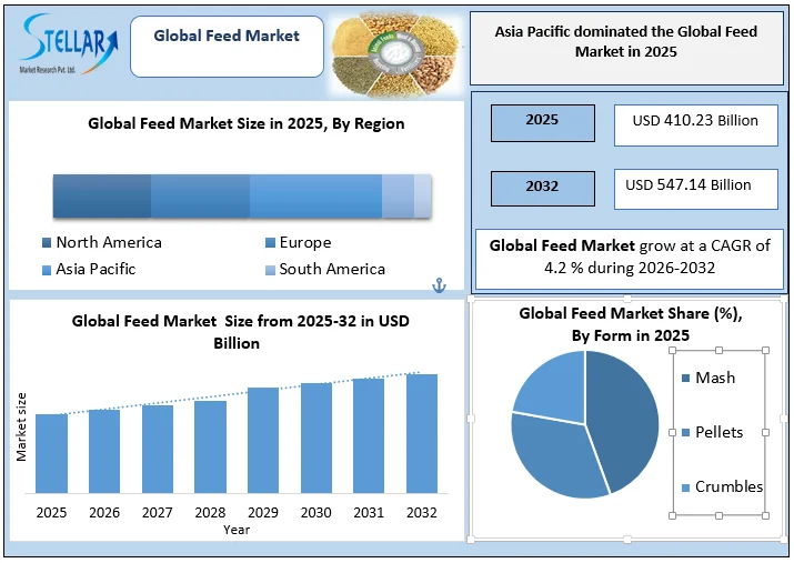 Feed Market overview