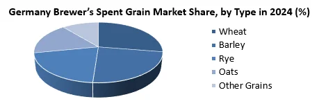 Germany Brewer’s Spent Grain Market by Type