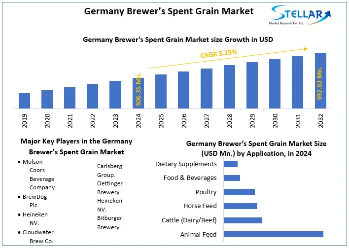Germany Brewer’s Spent Grain Market snapshot