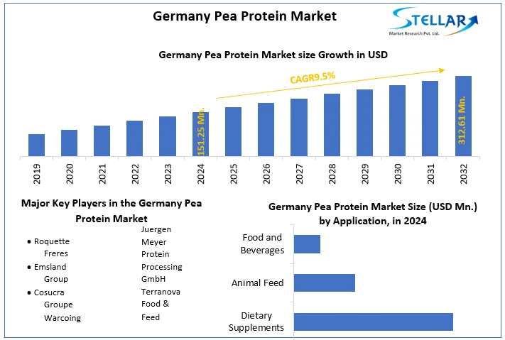 Germany Pea Protein Market snapshot