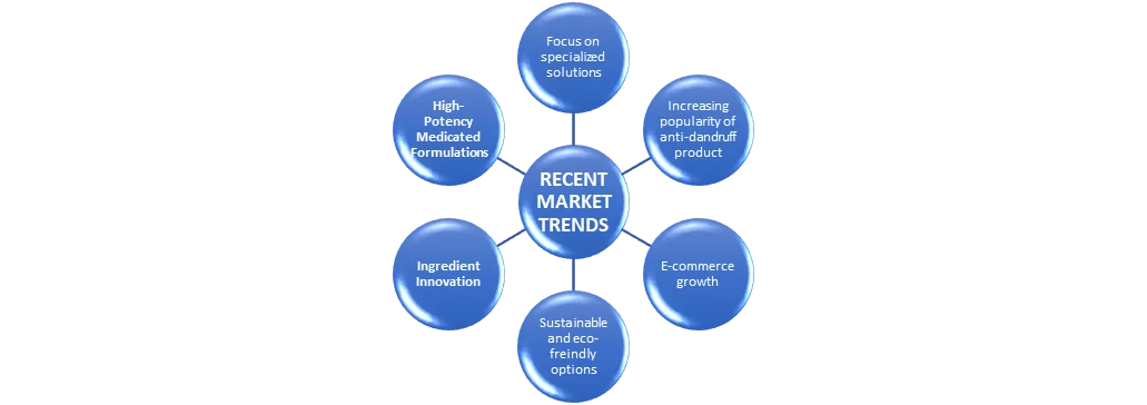 Global Hair and Scalp Care Market segment