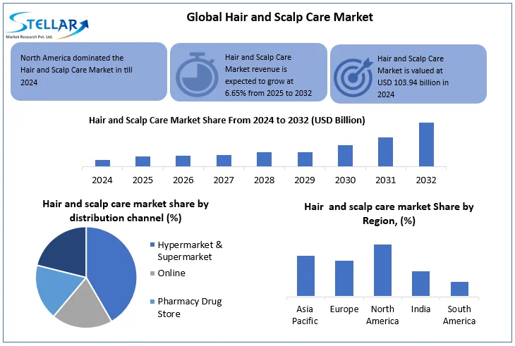 Hair and Scalp Care Market snapshot