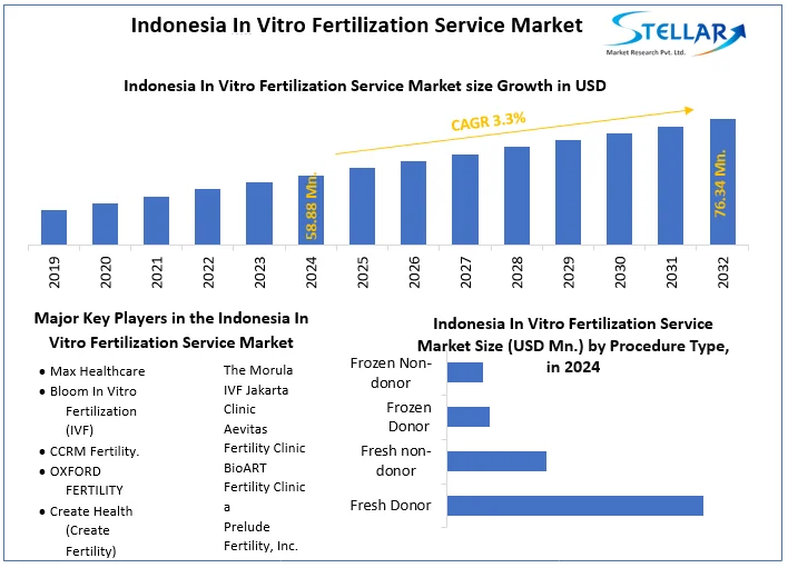 Indonesia In Vitro Fertilization Service Market snapshot