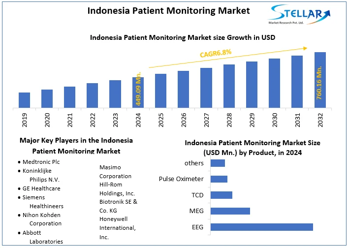 Indonesia Patient Monitoring Market snapshot