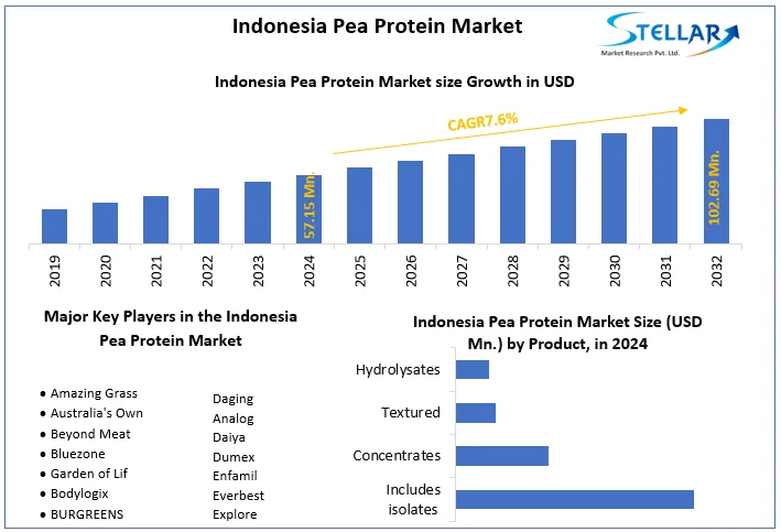 Indonesia Pea Protein Market snapshot