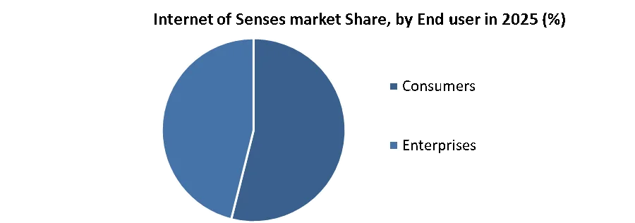 Internet of Senses market share by end user