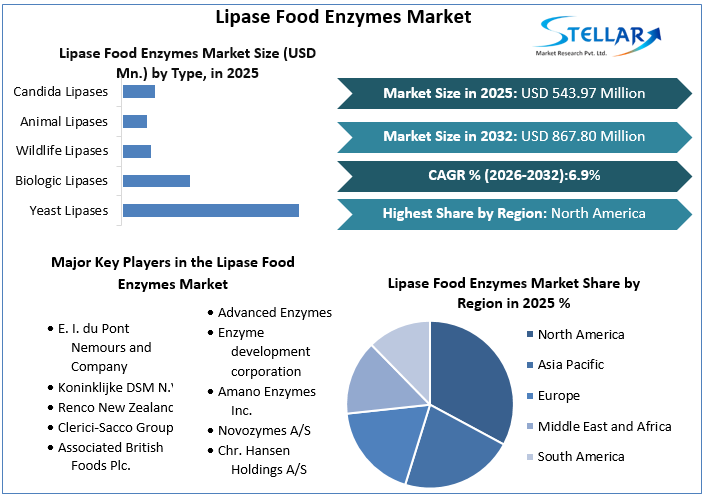 Lipase Food Enzymes Market overview