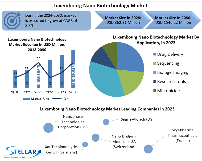 Luxembourg Nano Biotechnology Market