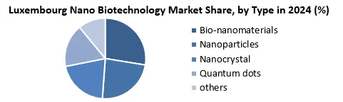 Luxembourg Nano Biotechnology Market share by type