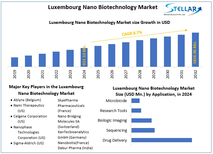 Luxembourg Nano Biotechnology Market snapshot