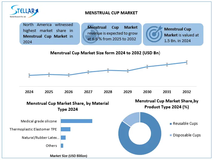 Menstrual Cup Snapshot