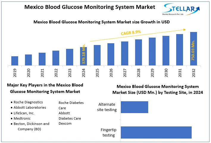 Mexico Blood Glucose Monitoring System Market snapshot