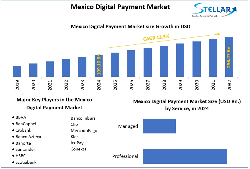 Mexico Digital Payment Market snapshot