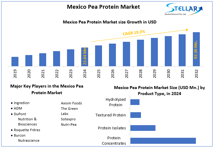 Mexico Pea Protein Market snapshot