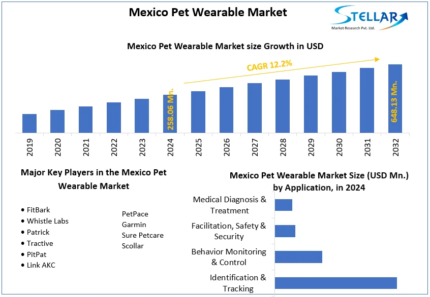 Mexico Pet Wearable Market snapshot