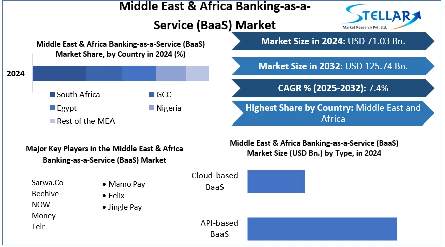 Middle East & Africa Banking-as-a-Service (BaaS) Market snapshot