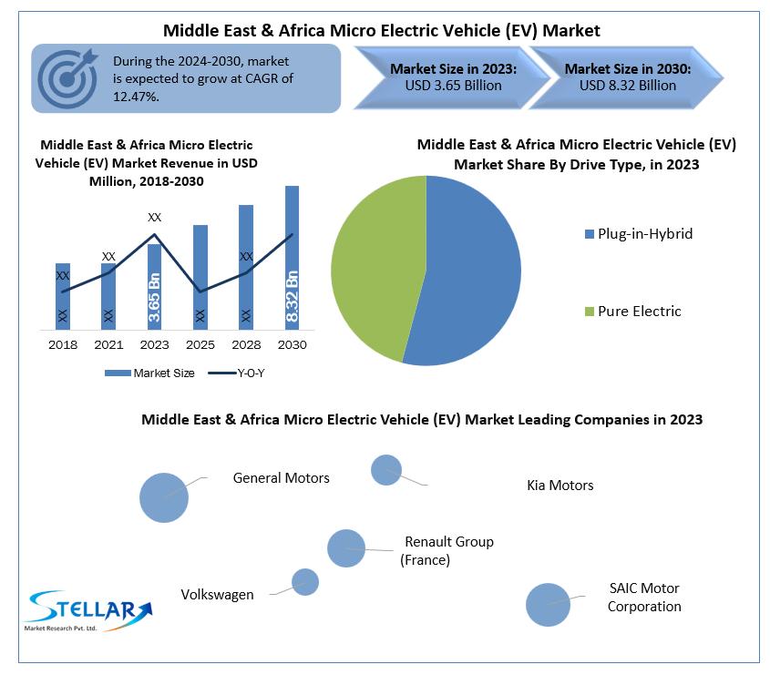 Middle East & Africa Micro Electric Vehicle (EV) Market