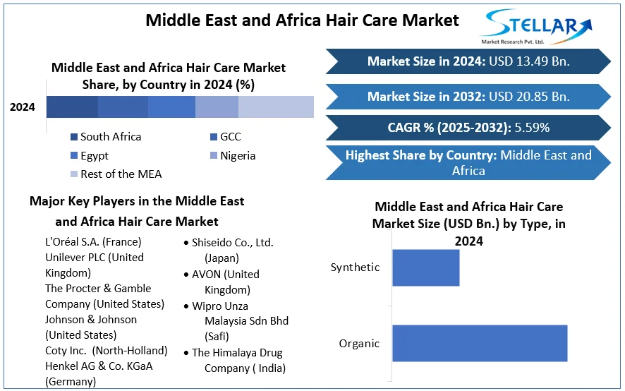 Middle East and Africa Hair Care Market snapshot