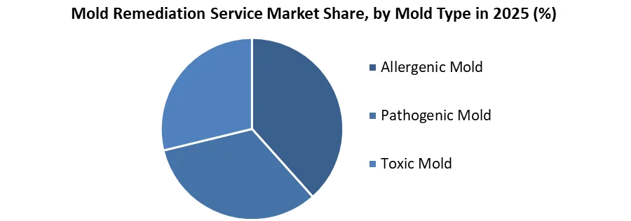 Mold Remediation Service Market share by mold type
