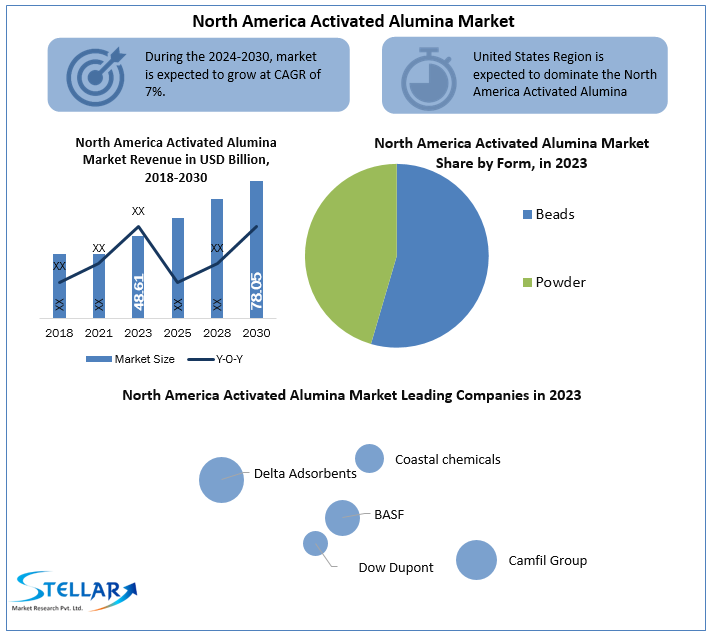 North America Activated Alumina Market