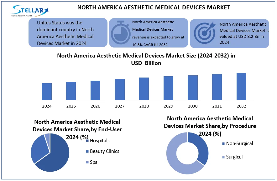 North America Aesthetic Medical Devices Market snapshot