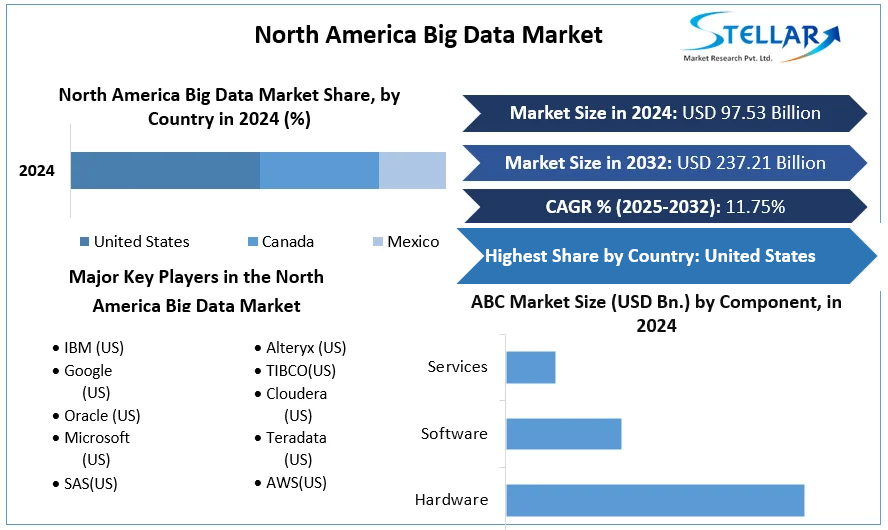 North America Big Data Market cagr