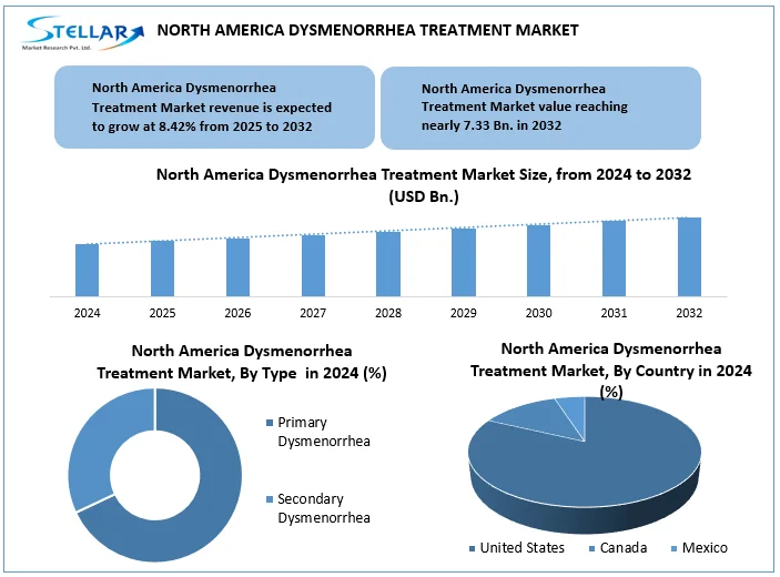 North America Dysmenorrhea Treatment Market snap
