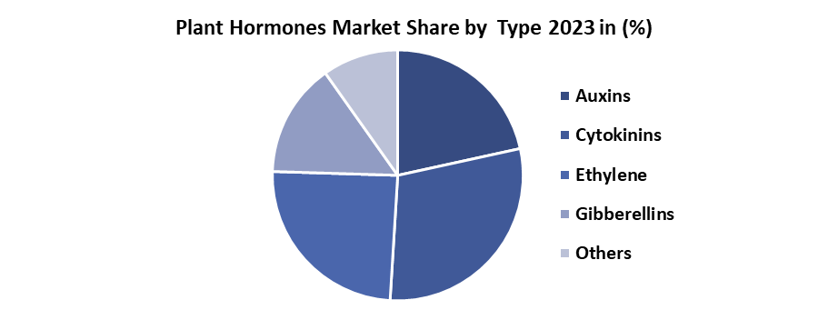 Plant Hormones Market2