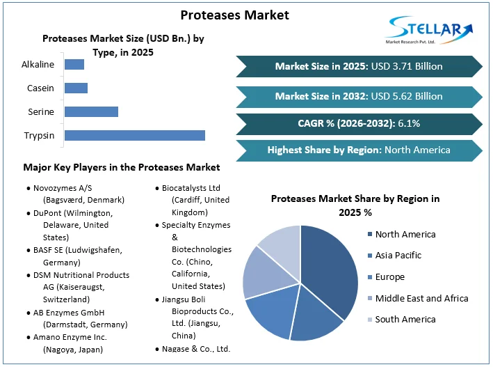 Proteases Market overview
