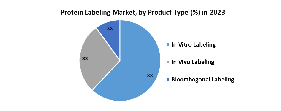 Protein Labeling Market1