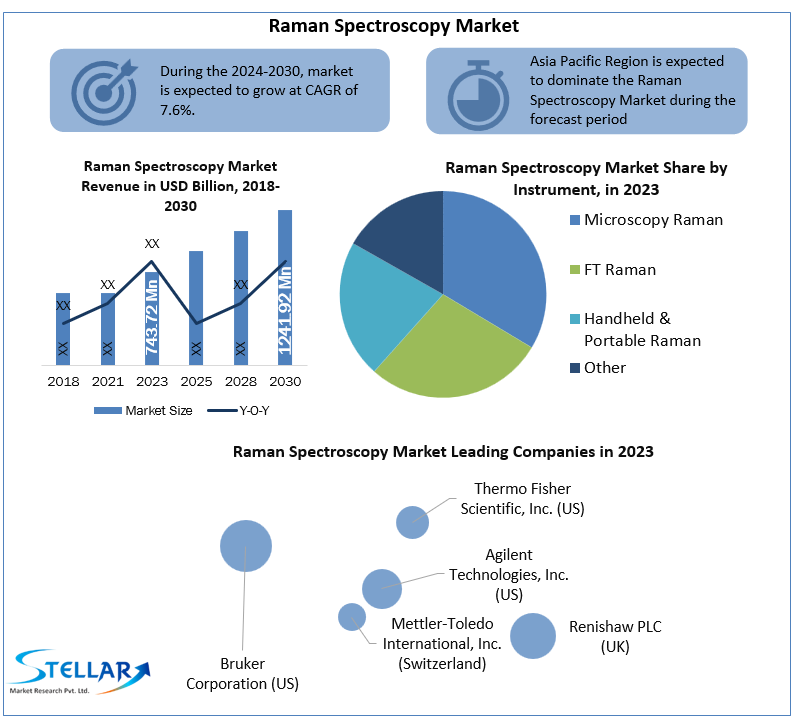 Raman Spectroscopy Market