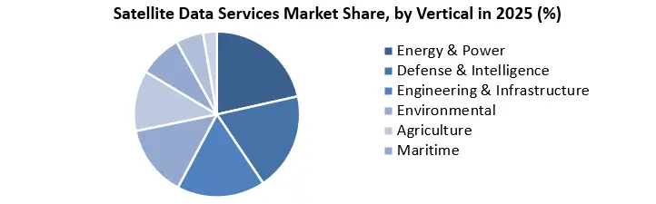 Satellite Data Services Market Share