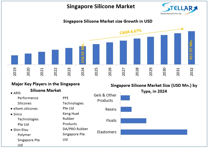 Singapore Silicone Market snapshot