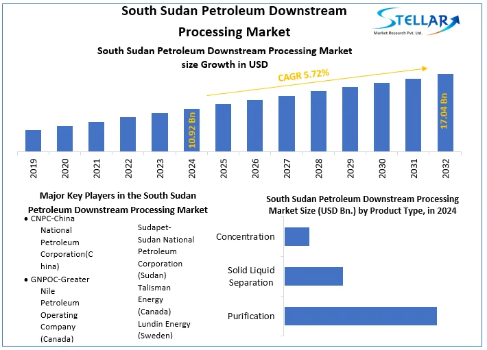 South Sudan Petroleum Downstream Processing Market snapshot