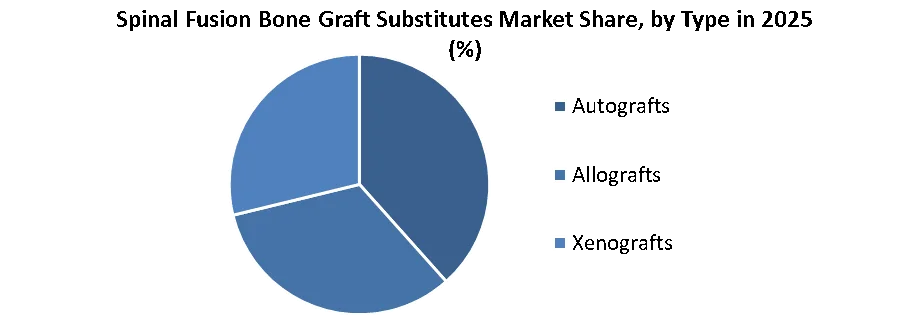 Spinal Fusion Bone Graft Substitutes Market share by type